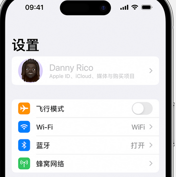 和庆镇appleID维修服务iPhone设置中Apple ID显示为灰色无法使用 