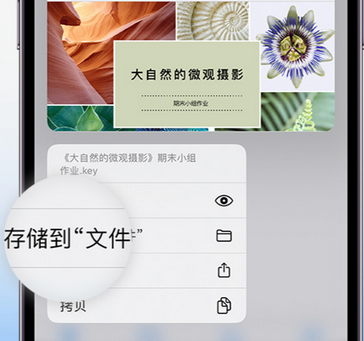 和庆镇apple维修中心分享iPhone文件应用中存储和找到下载文件