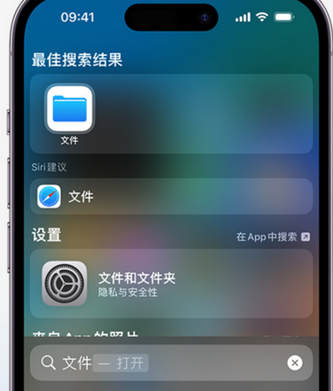 和庆镇apple维修中心分享iPhone文件应用中存储和找到下载文件