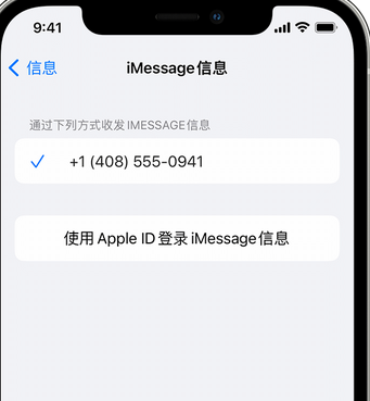 和庆镇apple维修iPhone上无法正常发送iMessage信息 