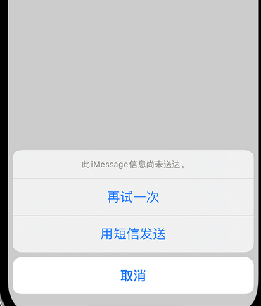 和庆镇apple维修iPhone上无法正常发送iMessage信息