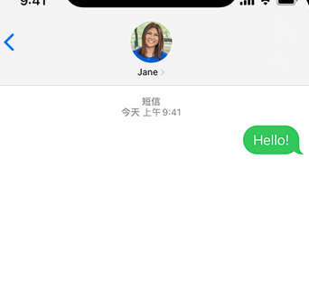 和庆镇apple维修iPhone上无法正常发送iMessage信息