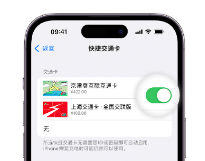 和庆镇apple维修点分享iPhone上更换Apple Pay快捷交通卡手绘卡面 