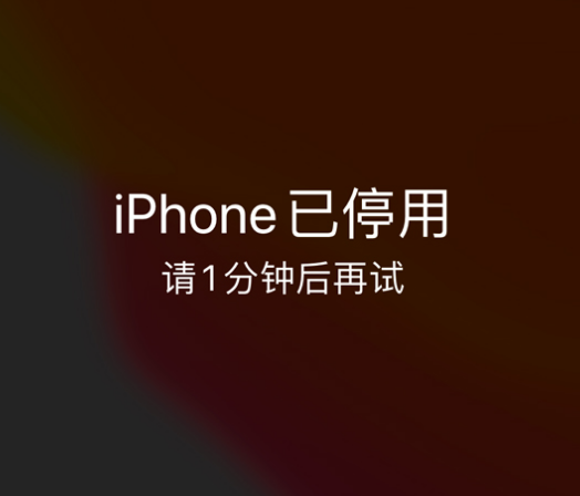 和庆镇苹果手机维修分享:iPhone 显示“不可用”或“已停用”怎么办？还能保留数据吗？ 