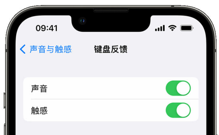 和庆镇苹果手机维修分享iPhone 14触感键盘使用方法 