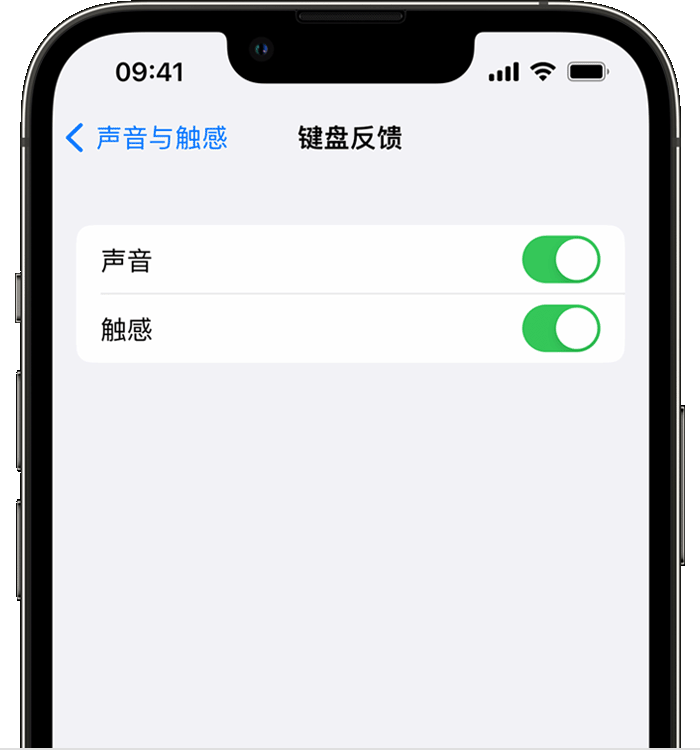 和庆镇苹果14维修店分享如何在 iPhone 14 机型中使用触感键盘 