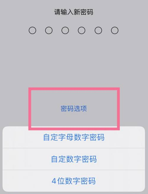 和庆镇苹果14维修分享iPhone 14plus设置密码的方法 