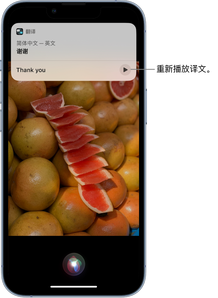 和庆镇苹果14维修分享 iPhone 14 机型中使用 Siri：了解 Siri 能帮你做什么 