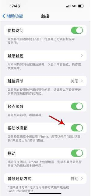 和庆镇苹果手机维修分享iPhone手机如何设置摇一摇删除文字 