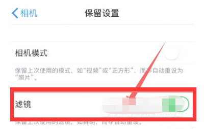 和庆镇苹果13维修分享iPhone13拍照有绿点是怎么回事 