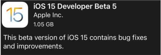 和庆镇苹果手机维修分享如何升级到iOS15.0 beta5 