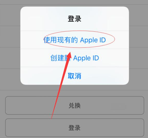 和庆镇苹果手机维修分享两台iPhone设备可以同时登录一个Apple ID吗 