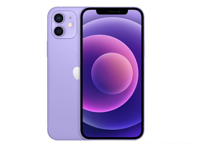 和庆镇苹果手机维修分享现阶段要不要入手紫色版iPhone12 