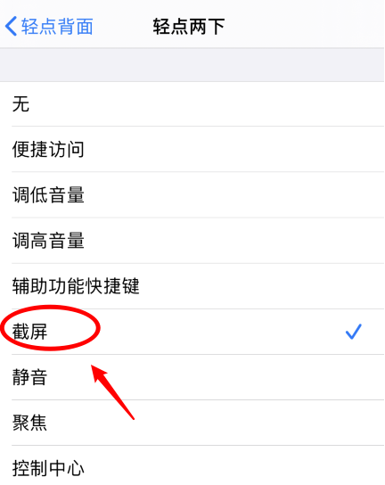 和庆镇苹果手机维修分享iPhone12如何启用双击截屏 