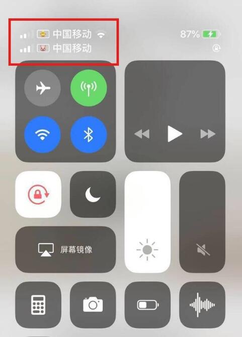 和庆镇苹果手机维修分享为 iPhone 12 双卡设置标签 